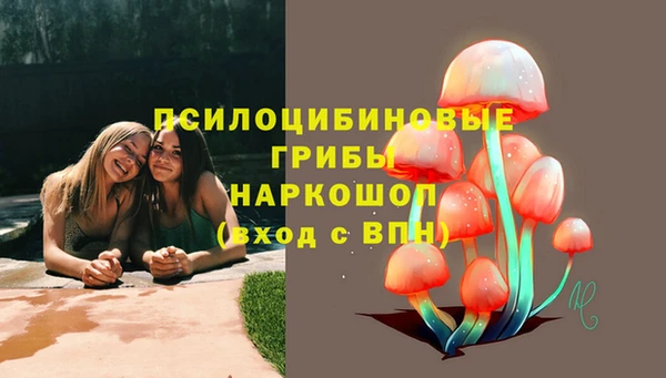 прущие грибы Покровск
