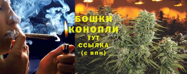 бошки Алексеевка