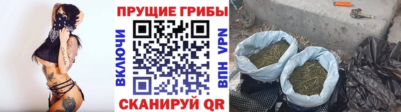 наркошоп  Сольцы  Галлюциногенные грибы прущие грибы 